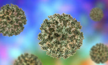 featuredpartnerimage