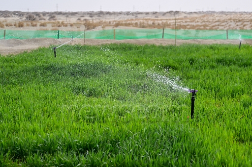 xnaphotosthree051610